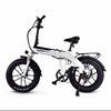 JupiterBike Defiant Pro All-terrain Electric Bike