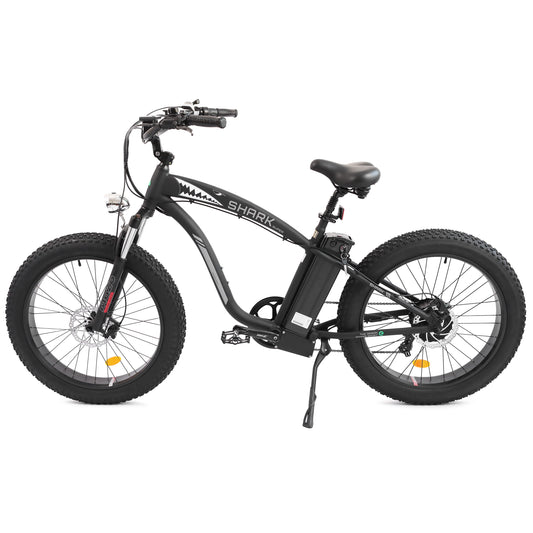 Ecotric Hammer 48V Fat Tire Beach and Snow Electric Bike